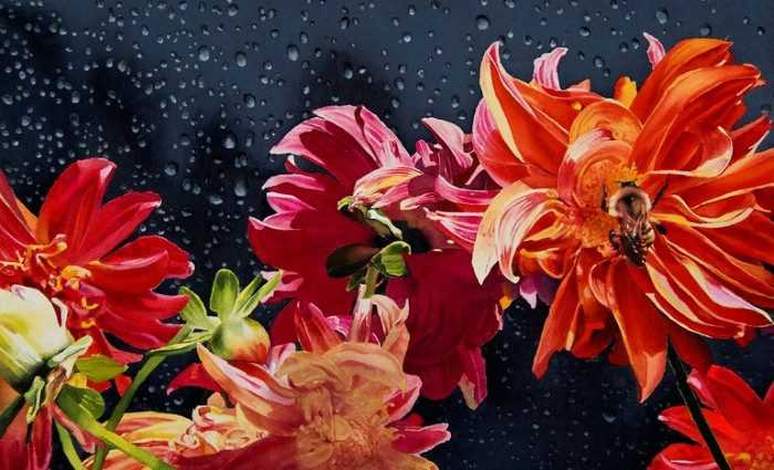 Цветочные натюрморты акварелью. Gregory Van Raalte 1