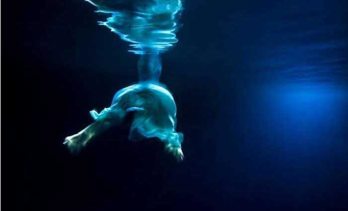 Танцы под водой. Maya Almeida (фотограф) 1