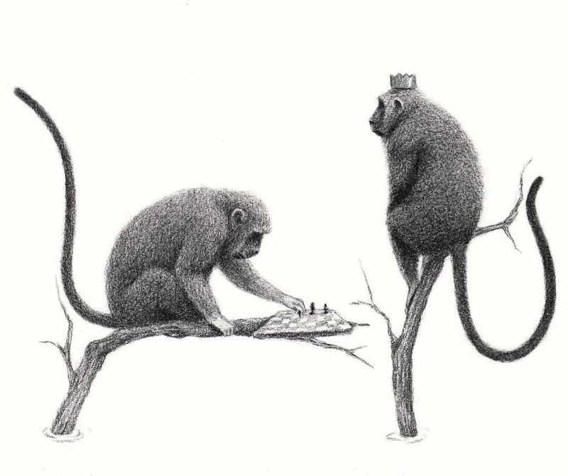 Monkeys playing chess
