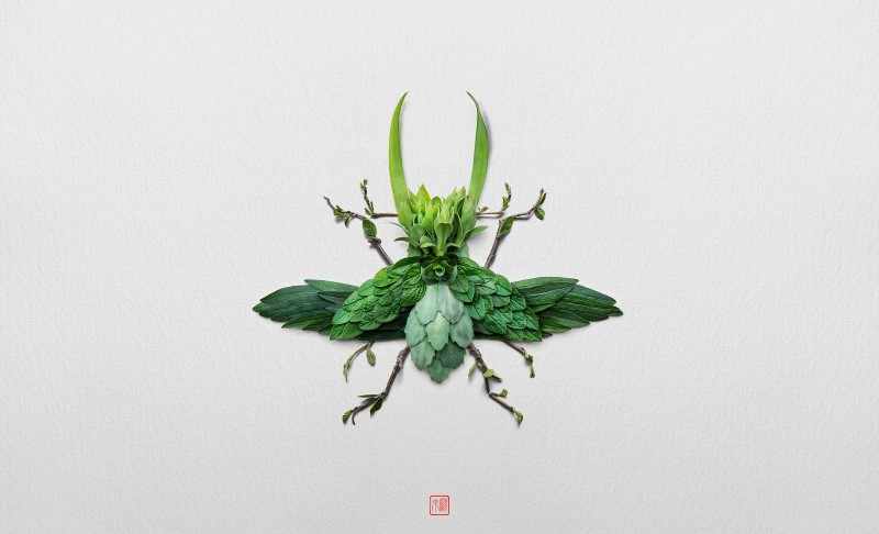 Natura Insects. Raku Inoue 1
