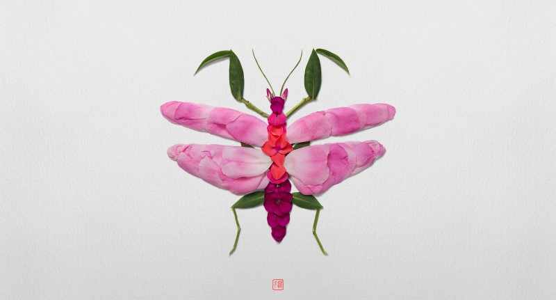 Natura Insects. Raku Inoue 5