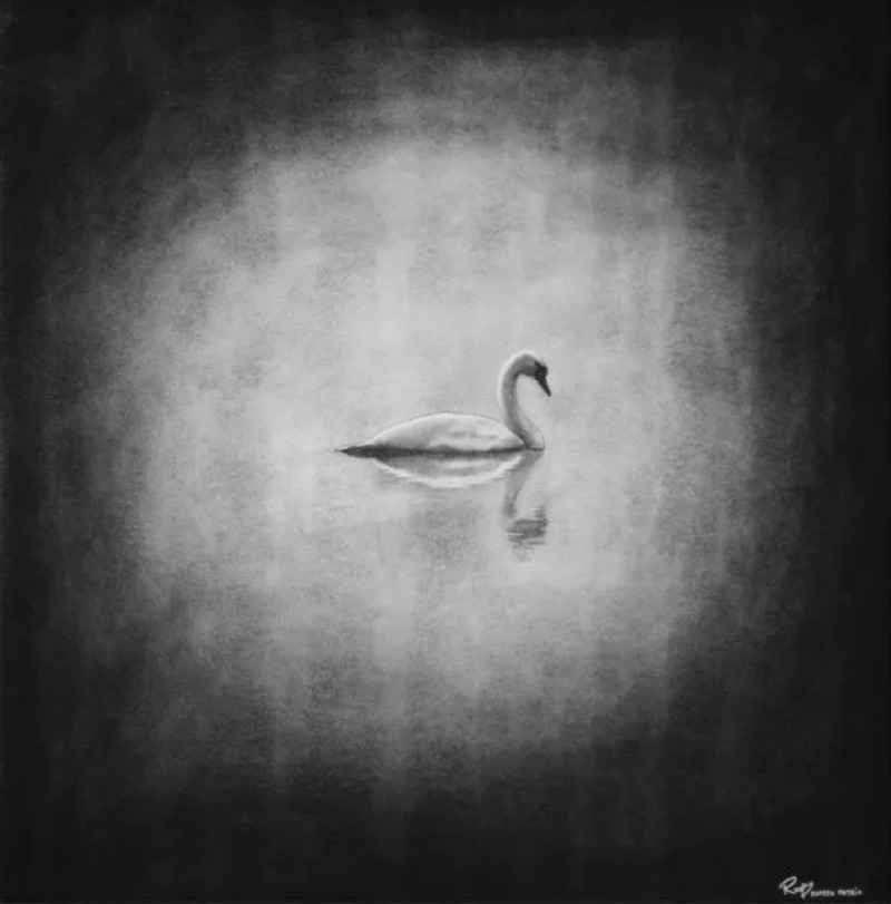 The ugly duckling. Rupesh Patric