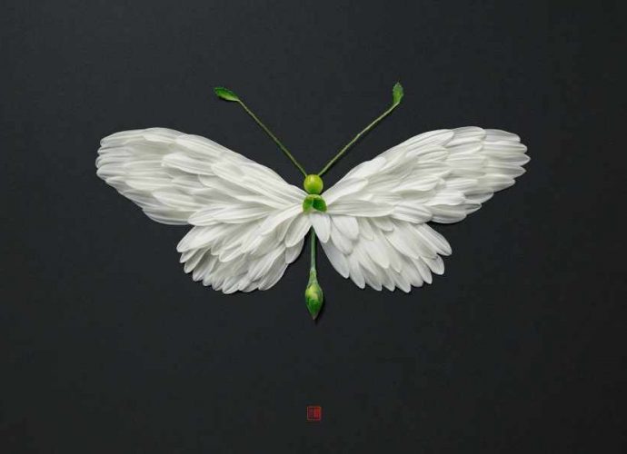 Мотыльки, бабочки и другие насекомые из цветов. Raku Inoue 15