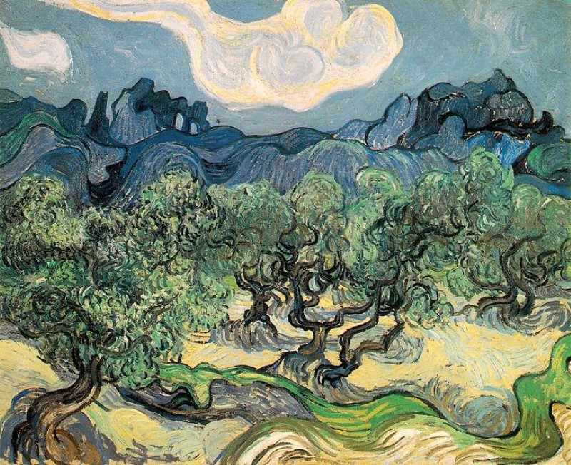 Оливковые деревья. Ван Гог