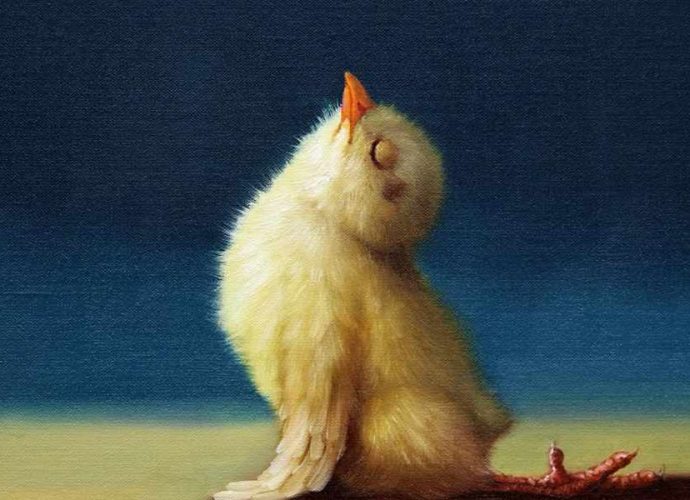 Очаровательный выводок цыплят. Lucia Heffernan