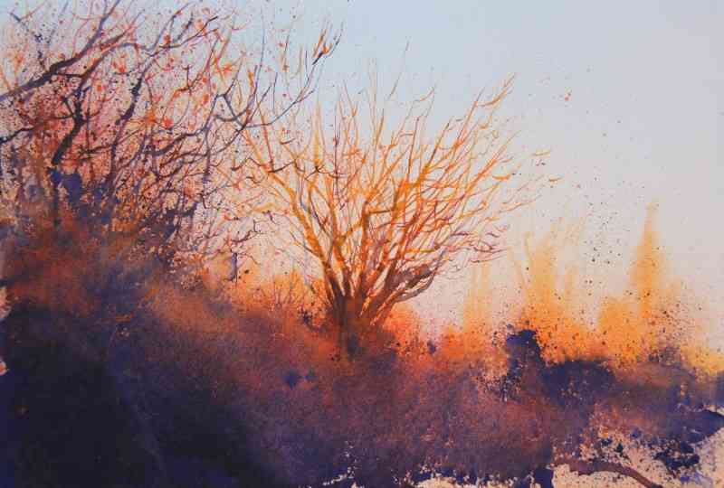 L'arbre au crépuscule. Stéphane Langeron