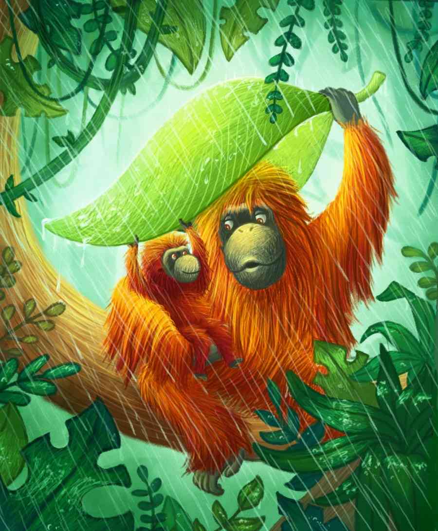 Orangutans. Ramona Kaulitzki