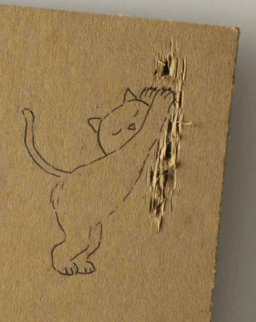 Cat. Cardboard Experiments. Javier Pérez