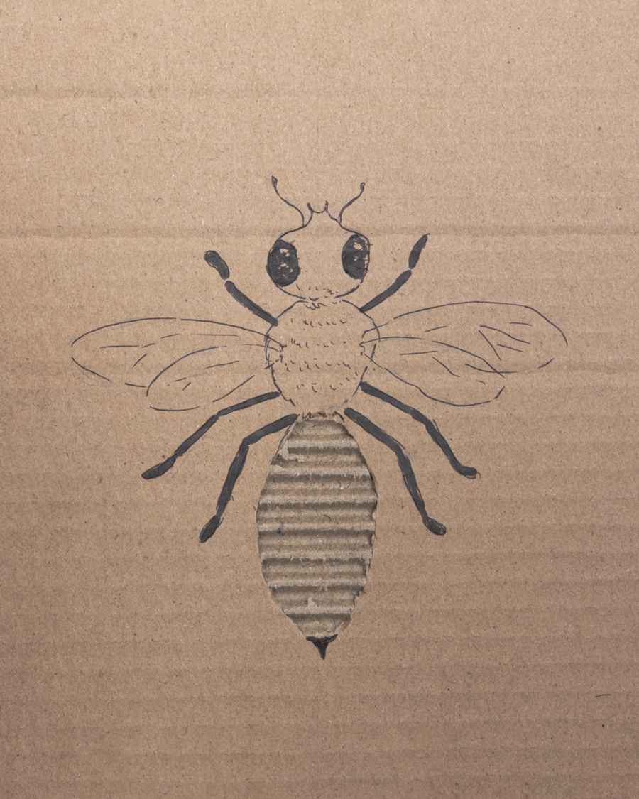 Wasp. Cardboard Experiments. Javier Pérez