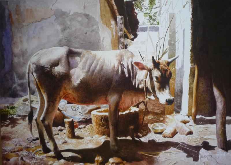 Cow. Raghunath Sahoo