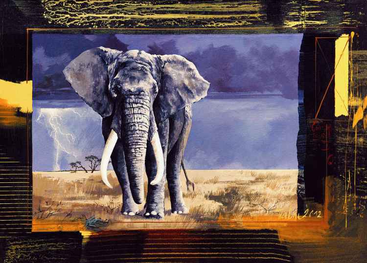 African ephant. Dragan Petrovic Pavle